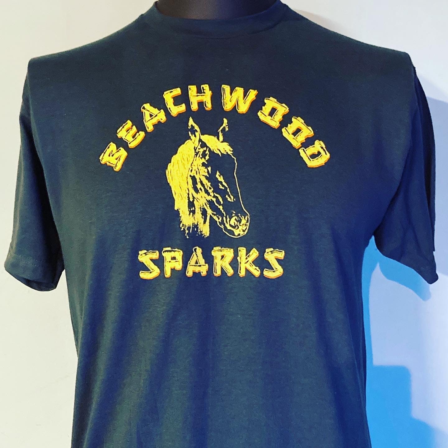 Beachwood Sparks Repro Horsey Tour Tee (4908271632466)