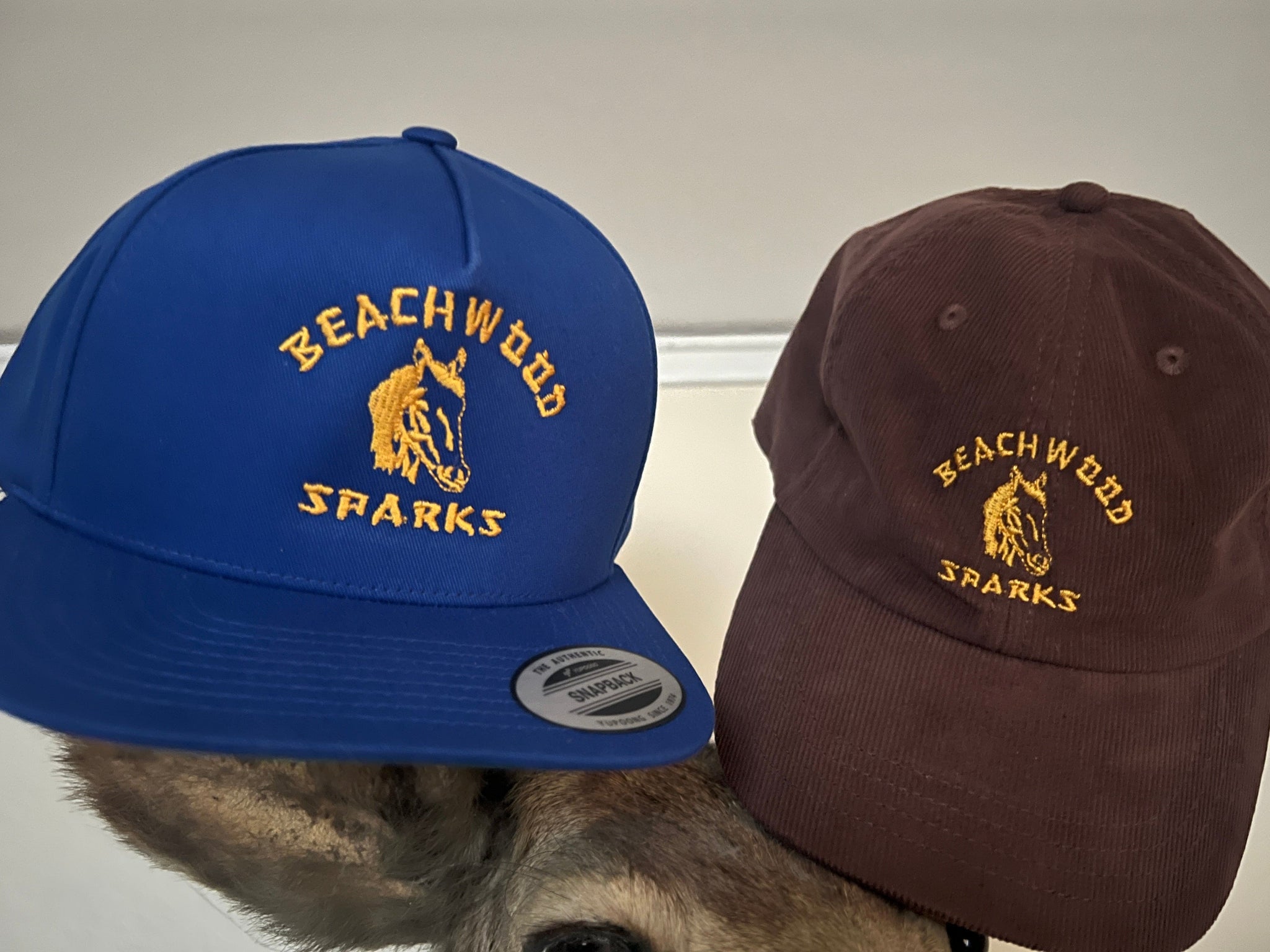 Beachwood Sparks Vintage Corduroy Horsey Cap (GOLD LOGO) (7379503808594)