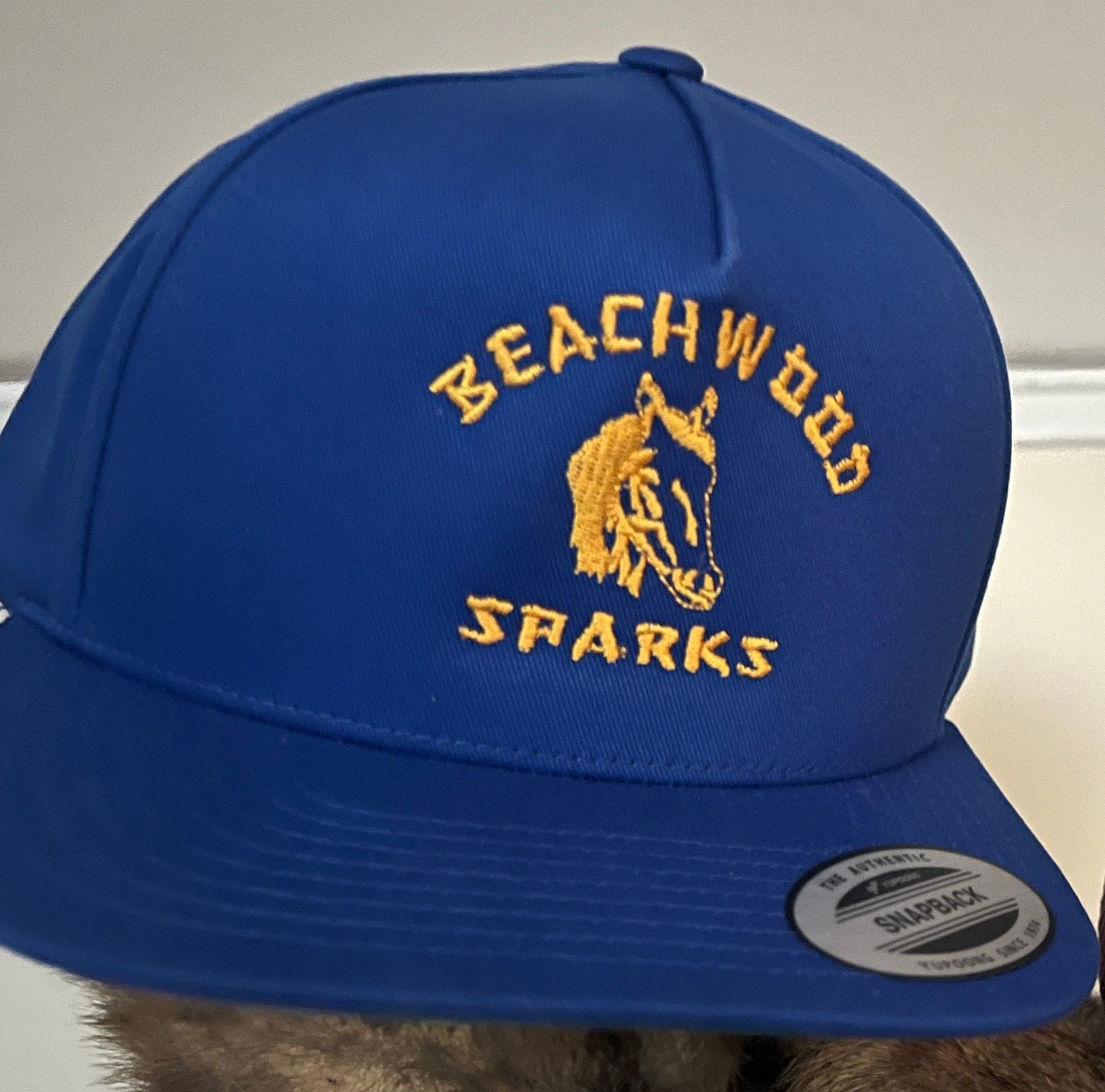 Flat Bill Cap BEACHWOOD SPARKS Horsey logo (7379501514834)