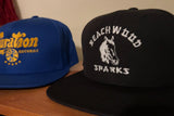 Beachwood Sparks Repro Horsey Snapback Hat (7396743250002)