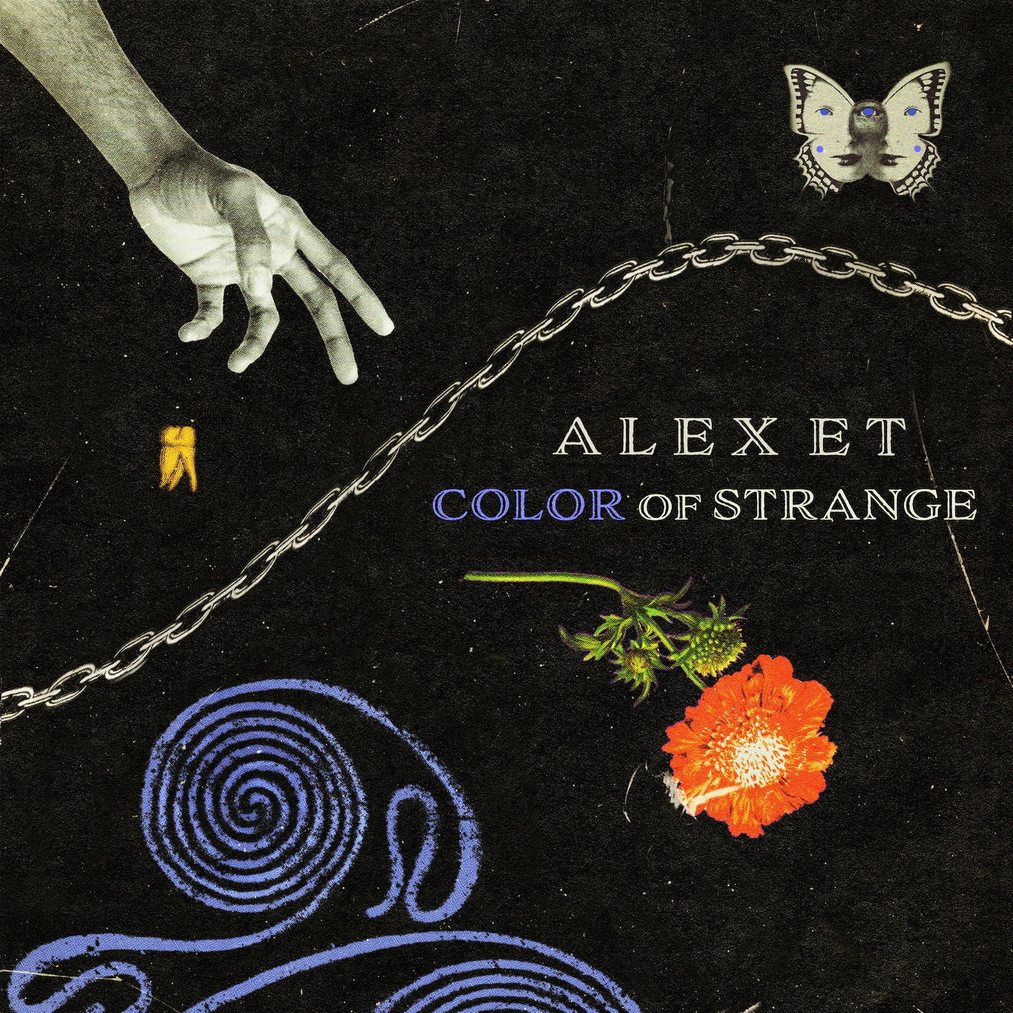Color Of Strange (7466128113746)