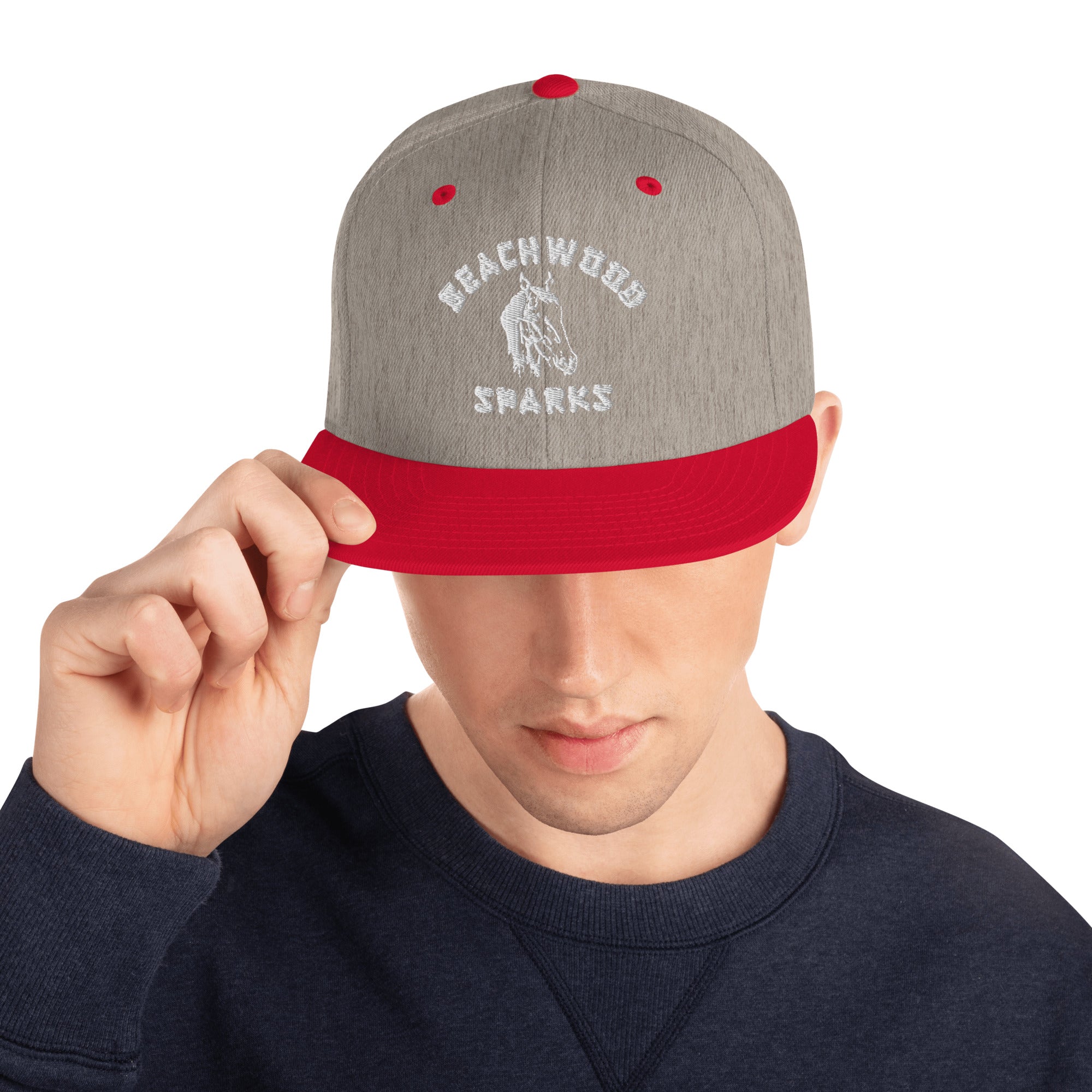 Beachwood Sparks Repro Horsey Snapback Hat (7396743250002)