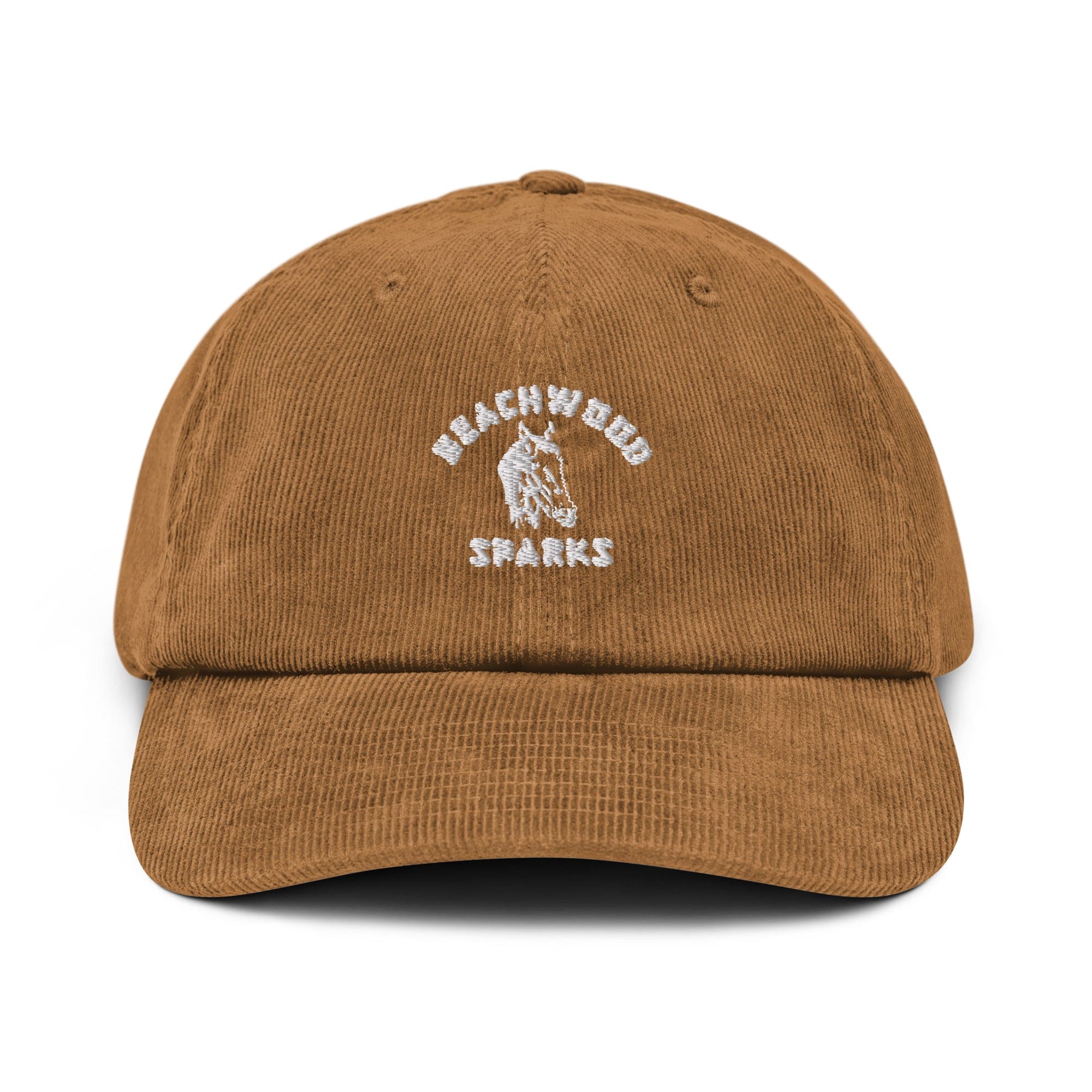 Beachwood Sparks Repro Horsey Corduroy hat (7348244906066)