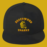 Flat Bill Cap BEACHWOOD SPARKS Horsey logo (7379501514834)