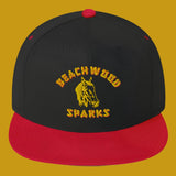 Flat Bill Cap BEACHWOOD SPARKS Horsey logo (7379501514834)