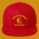 Flat Bill Cap BEACHWOOD SPARKS Horsey logo (7379501514834)