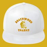 Flat Bill Cap BEACHWOOD SPARKS Horsey logo (7379501514834)