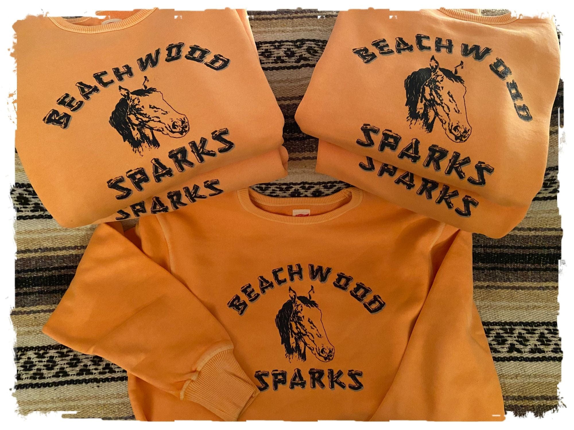 Beachwood Sparks Repro Horsey Crewneck Sweatshirt - Curation Records (4905326248018)