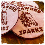 Beachwood Sparks Logo Patch (7068081487954)